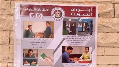 توفير ملصقات ارشادية داخل اللجان الانتخابية بالجيزة لتسهيل عملية الإدلاء بطريقة صحيحة