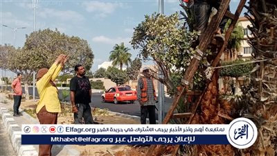 جهاز التطوير والتجميل يواصل أعمال رفع كفاءة مداخل ومخارج الإسماعيلية