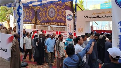 إقبال متزايد على لجان أسوان قبل إغلاق اليوم الأول وسط تأمين مكثف بقيادة اللواء عبدالله جلال