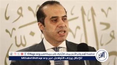 وزير الشؤون النيابية: المشاركة في الانتخابات حق وواجب دستوري