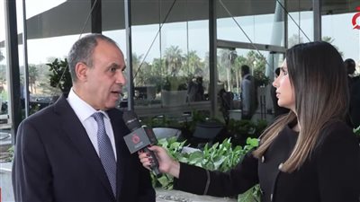 وزير الخارجية: نبذل جهدا كبيرا لتثبيت اتفاق وقف إطلاق النار في غزة