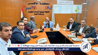 فتح اللجان الانتخابية وانتظام التصويت بمحافظة الأقصر فى ثانى أيام إنتخابات مجلس النواب 2025