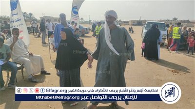 زوجان مسنين يحرصان على الإدلاء بأصواتهم في الانتخابات البرلمانية بالفيوم 