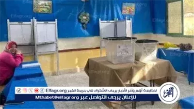 اعرف لجنتك الانتخابية في انتخابات مجلس النواب 2025 بالرقم القومي