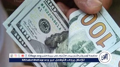 سعر الدولار أمام الجنيه المصري في تعاملات اليوم الأربعاء 12 نوفمبر 2025