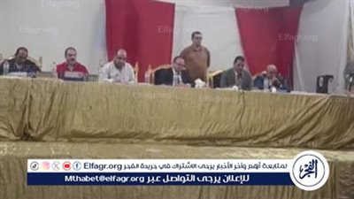 انتخابات النواب 2025.. الحصر العددي لأصوات الناخبين بالدائرة الثالثة ببني سويف