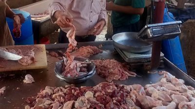 حملات تموينية موسعة بالقليوبية تكشف مخالفات جسيمة وسلعًا غير صالحة للاستهلاك