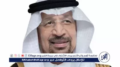 السعودية والهند.. استثمارات في الأمن الغذائي والسيارات والرعاية الصحية والبنية التحتية و