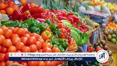 استقرار نسبي.. أسعار الخضراوات بالمنيا تواصل تراجعها داخل الأسواق اليوم الجمعه 14نوفمبر 2025