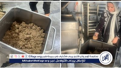 محافظ الدقهلية: ضبط 3.3 طن من مفروم اللحوم والدواجن غير الصالحة للاستهلاك