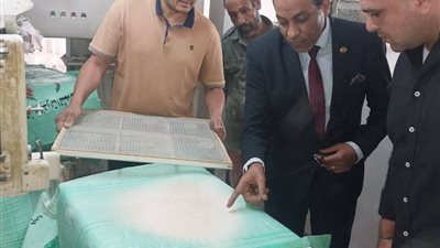 حملات تموينية موسعة بالقليوبية تضبط 100 مخالفة وتراجع مطاحن الدقيق لضمان جودة السلع