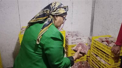 التموين بالقليوبية تضبط كميات كبيرة من العجائن الفاسدة وتلاحق مخالفات المخ