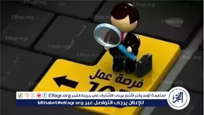 4202 فرصة عمل جديدة في 53 شركة بـ 14 محافظة