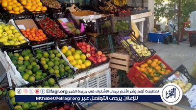 اسعار الخضروات اليوم الإثنين 17نوفمبر 2025 فى اسواق المنيا 