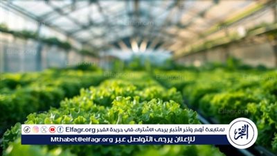 الزراعة الحضرية.. الحل الذكي لمواجهة أزمة الغذاء في المدن