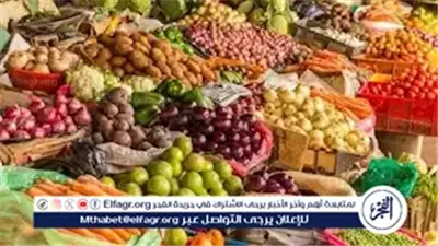 أسعار الخضروات اليوم الثلاثاء 18نوفمبر 2025 فى اسواق المنيا.. استقرار في معظم الأصناف