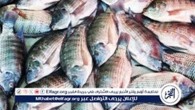 بكام السمك البلطى؟... سعر السمك اليوم الثلاثاء 18نوفمبر 2025 فى المنيا 