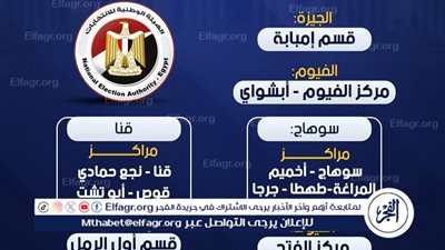 تفاصيل إلغاء اقتراع في 19 دائرة انتخابية بمجلس النواب في 7 محافظات بعد رصد مخالفات جوهرية