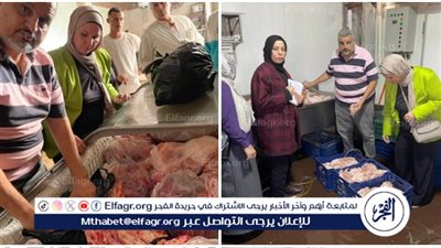 محافظ الدقهلية: ضبط 5.4 طن دجاج وشاورما غير صالحة للاستهلاك