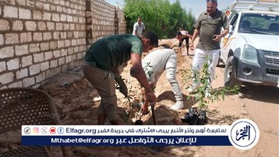 ضمن تنفيذ المرحلة الرابعة من مبادرة “100 مليون شجرة” بالمنيا زراعة 94 شتلة متنوعة بمركزى مطاى وسمالوط