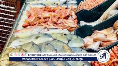 أسعار الأسماك فى أسيوط اليوم السبت 22\10\2025 
