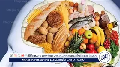 أفضل أطعمة لتعزيز صحة الدماغ بعد سن الأربعين.. كيف تحافظ على الذاكرة والتركيز مع التقدم في العمر؟