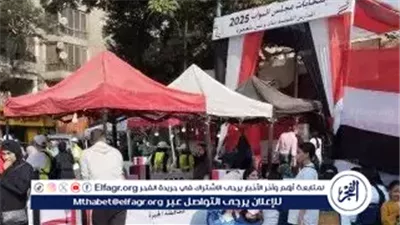 عاجل- تعرف على المحافظات المشاركة في الجولة الثانية من انتخابات مجلس النواب 2025