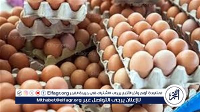 سعر كرتونة البيض في بورصة الدواجن والسوق اليوم الأحد 23 نوفمبر 2025 فى المنيا 