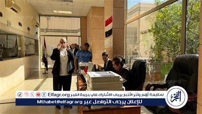 ما هو النظام المزدوج في انتخابات مجلس النواب؟.. القومي لحقوق الإنسان يوضح