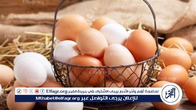 سعر كرتونه البيض الأبيض اليوم الإثنين 24 نوفمبر للمستهلك فى محال واسواق المنيا 