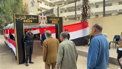 وسط إجراءات تنظيمية مشددة.. توافد الناخبين أمام لجان مدرسة القناة للغات بالمعادي