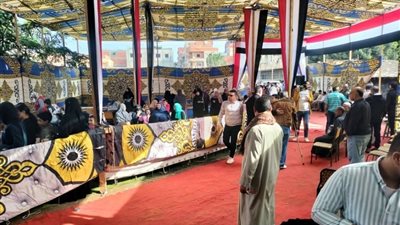 إقبال كثيف على لجان الدقهلية مع تخصيص مقاعد لكبار السن