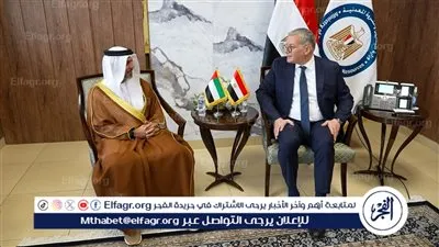 مباحثات مصرية إماراتية لتعزيز الاستثمارات في البترول والغاز