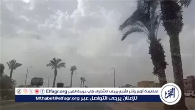 الطقس غدًا.. انخفاض في الحرارة وشبورة كثيفة وأمطار رعدية محتملة والعظمى بالقاهرة 25 درجة