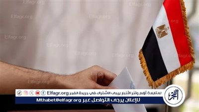 إصابة مستشار بهبوط داخل لجنة انتخابية بالدقهلية واستمرار التصويت دون تعطّل