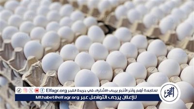 البيض البلدى بكام.....سعر كرتونه البيض اليوم الثلاثاء 25 نوفمبر 2025 فى المنيا 