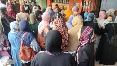 إقبال كثيف على لجان شبين القناطر في اليوم الثاني لانتخابات النواب