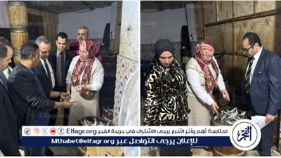 تموين الدقهلية يداهم مخزن أسماك مملحة فاسدة وينقذ الأسواق من 8 أطنان خطرة على المواطنين