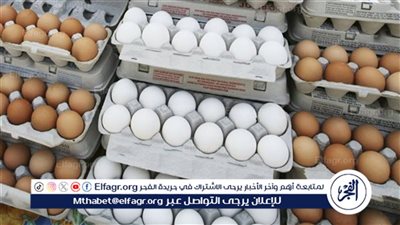 سعر كرتونة البيض في بورصة الدواجن والسوق اليوم السبت 29 نوفمبر 2025 فى المنيا 