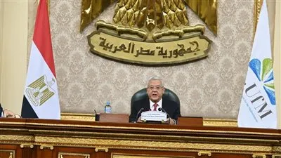 رئيس النواب: قمة شرم الشيخ الدولية للسلام تضع أساسًا لتحقيق السلام العادل