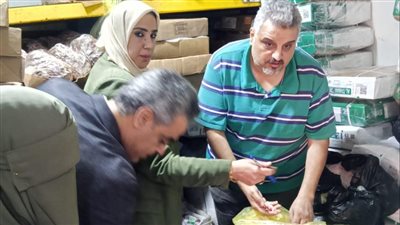 محافظ الدقهلية:ضبط 11 طنًّا من سلع غير صالحة وتحرير 308 محاضر في حملات تموينية