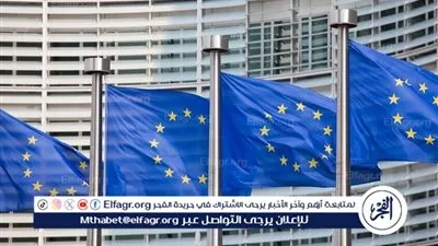 البرلمان الأوروبي ينتقد تدهور وضع حقوق الإنسان في تونس