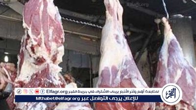 اسعار اللحوم البلدى والمجمده اليوم الجمعه 28نوفمبر 2025 فى اسواق ومجازر المنيا 