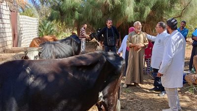 تحصين 200 ألف رأس ماشية ضمن أعمال الحملة القومية الثالثة للحفاظ على الثروة الحيوانية بالجيزة