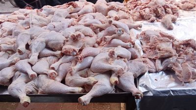 تموين القليوبية يواصل حملاته الرقابية ويضبط لحومًا مجهولة المصدر ومخالفات