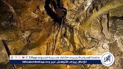 رئيس الوزراء يبحث مع 