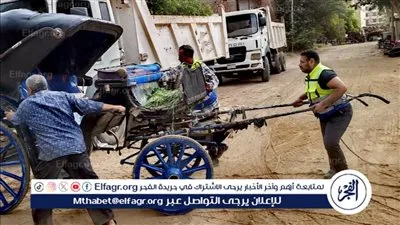  تنفيذ حملات تمشيطية بشوارع الأقصر لضبط عربات الحنطور المخالفة