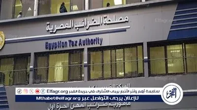 كيف تدعم التسهيلات الضريبية جذب الاستثمار؟.. خبير اقتصادي يكشف