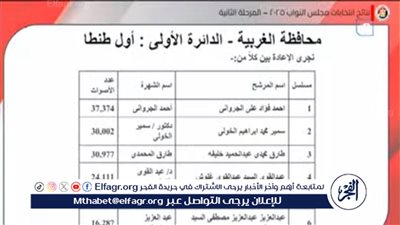 رسميًا.. الوطنية للانتخابات تعلن أسماء مرشحين الإعادة فى دائرة طنطا