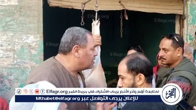 تحرير 11 مخالفة تموينية خلال حملة على الأسواق بمغاغة